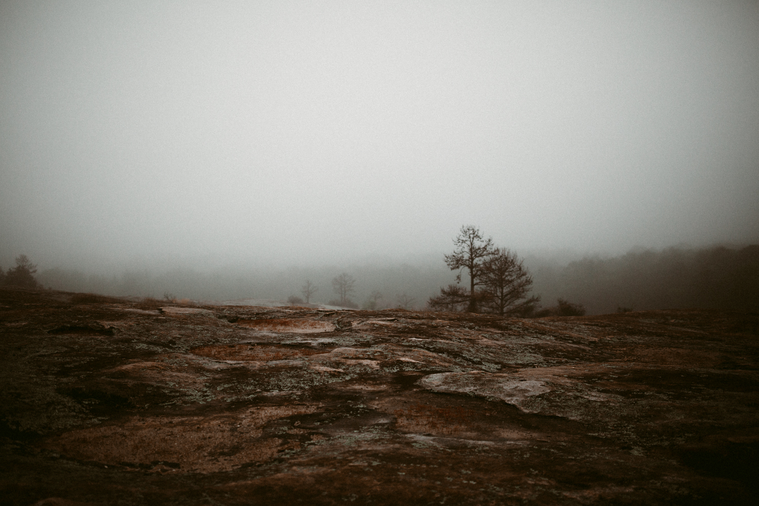 california+wedding+photographer-9640