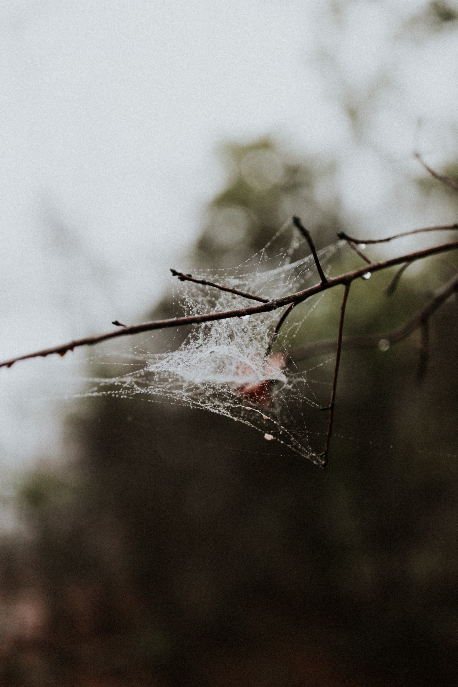 california+wedding+photographer-9892