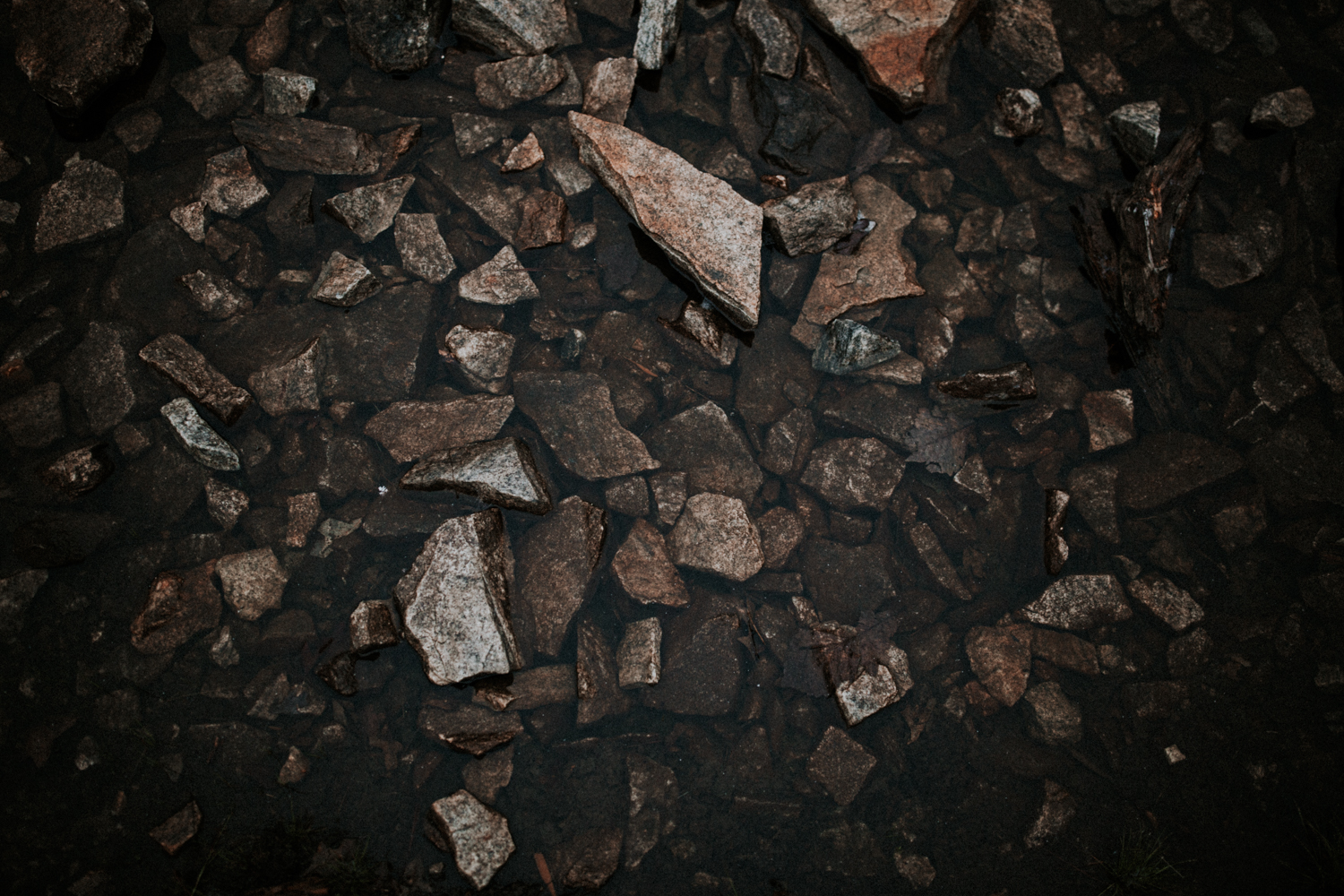 california+wedding+photographer-9903