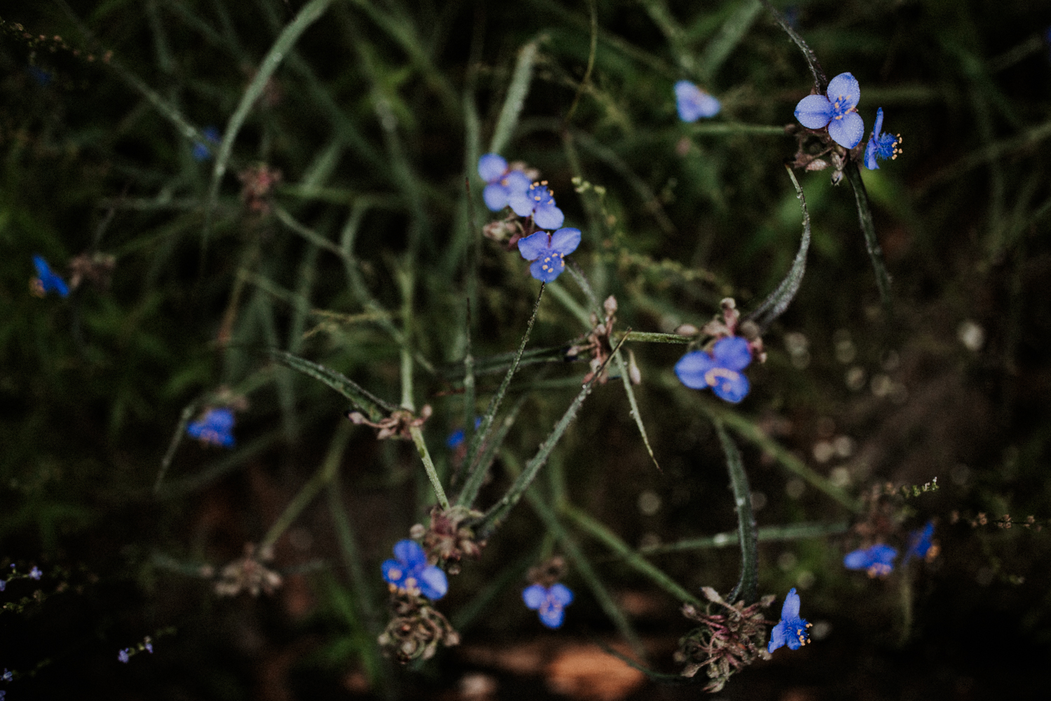 california+wedding+photographer-9904