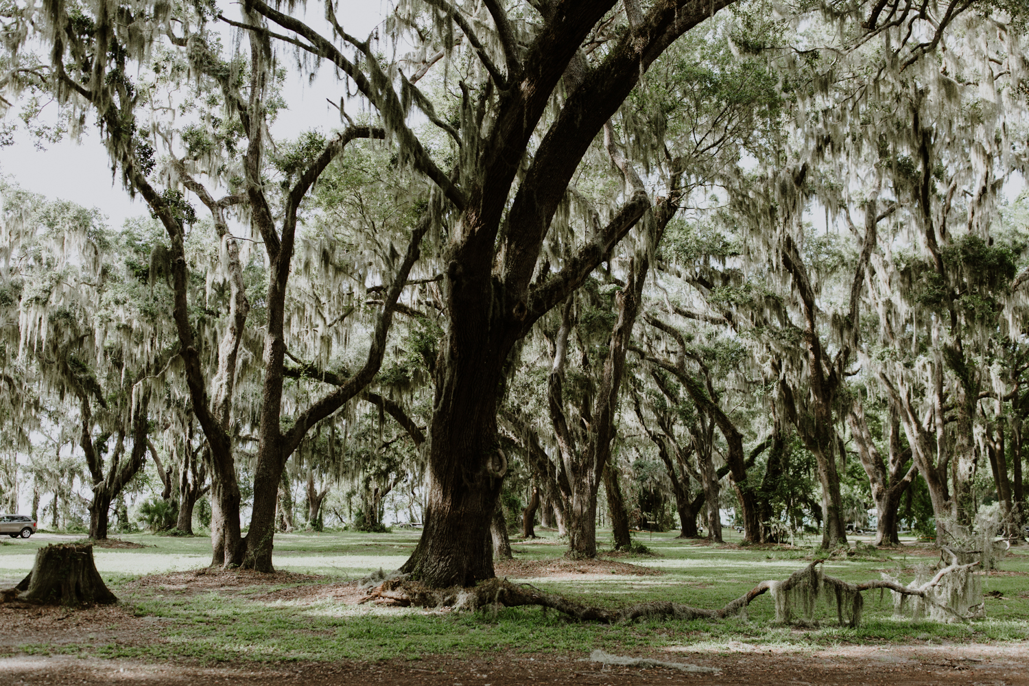 boho_saint_simons_island_wedding-7790